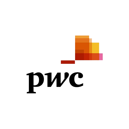 PwC Türkiye logo